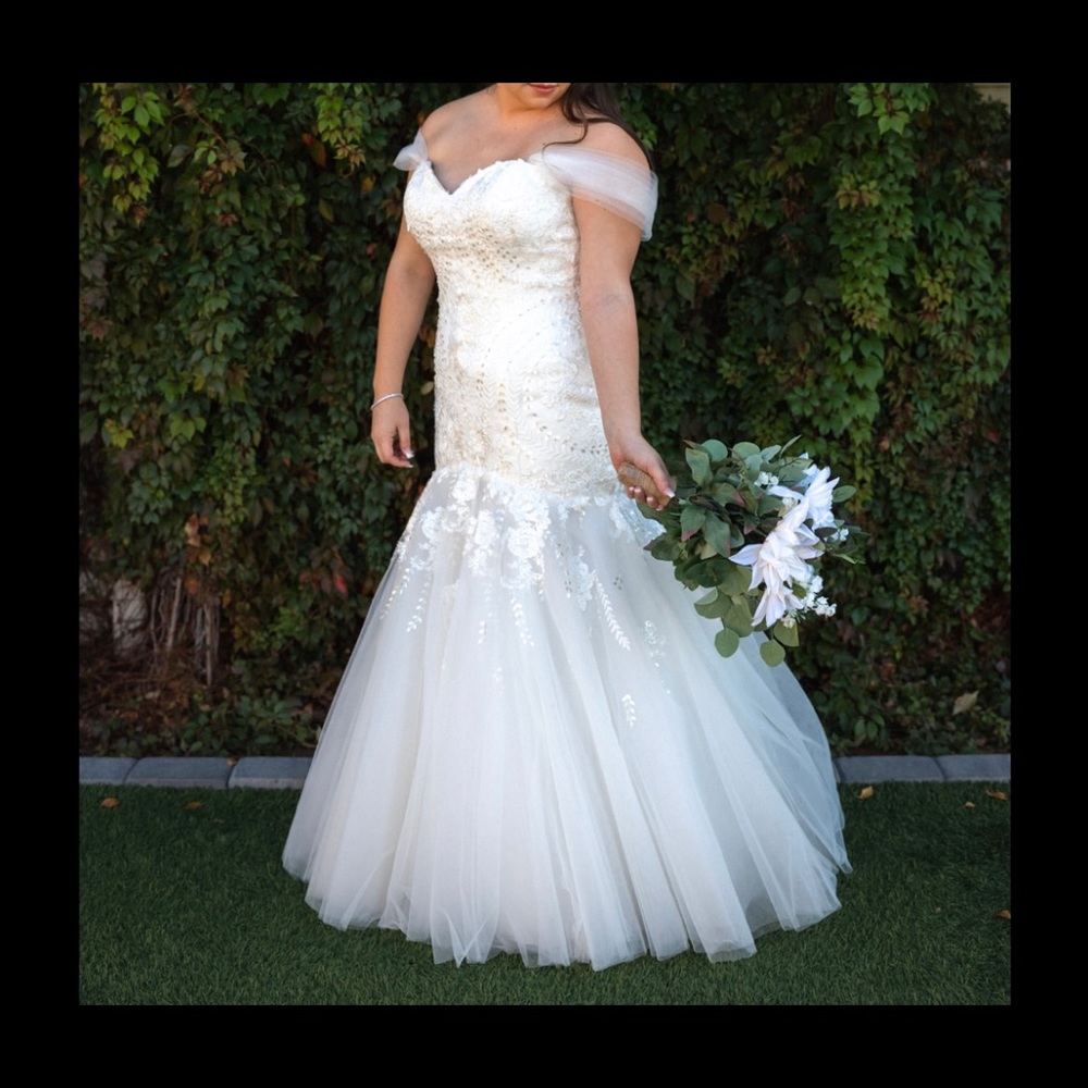 Mia Solano wedding gown